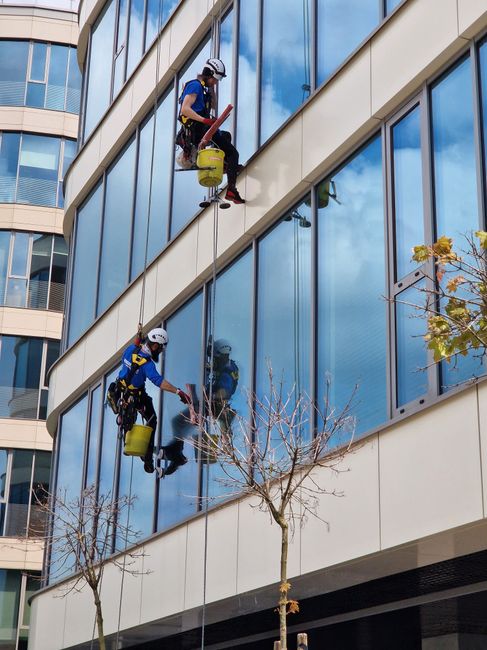 A window cleaner wearing protective gear, including a helmet and harness, is cleaning the glass facade of a modern commercial building. The surface consists of large, flat glass panels with metal framing, and the window cleaner is using a spray bottle and cloth to ensure the glass is streak-free and spotless. The building's exterior features a combination of tiled and glass surfaces, reflecting natural light and appearing well-maintained. The scene is set on a slightly angled section of the building's exterior, with the city sky visible in the background. This image relates to surface cleaning and maintenance services provided by Swiss Cottage Cleaner for commercial properties such as the O2 Centre shopfront, emphasizing professional deep cleaning and sanitisation practices.